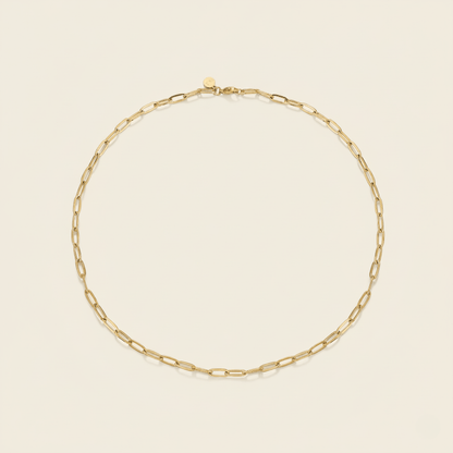 Sun-Washed Link Gold and Silver Necklace